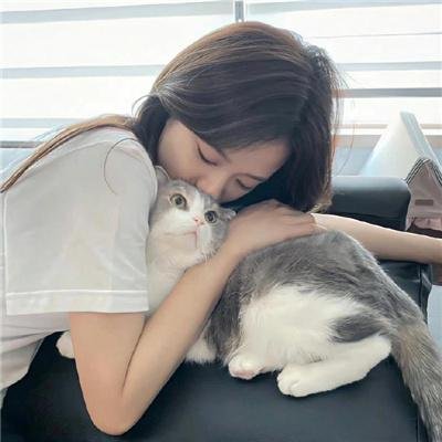 就像美丽蝴蝶飞